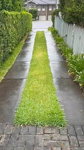 14M views · 498K reactions | Why do so many people enjoy watching this? I get asked this question so many times but really don’t know what the actual answer is. | Nathans Lawns and Gardens | Facebook