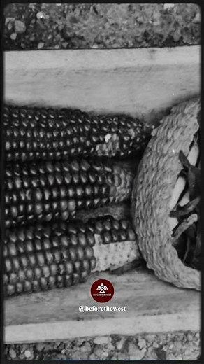 10 Facts About Native American Food That Changed America