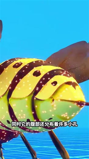 The wasp's head is off, so why is it still jumping around? #Insects #KnowledgeExperience #Wasp