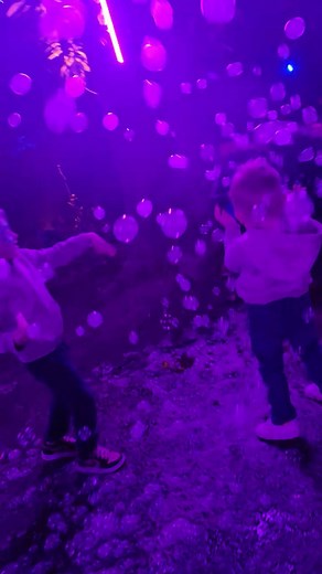 Constance Marie on Reels