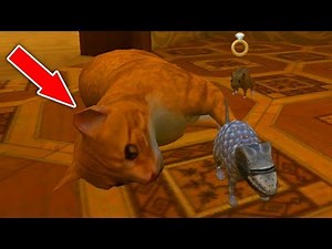 СИМУЛЯТОР МЫШИ - ОХОТИМСЯ на КОТА в Mouse Simulator