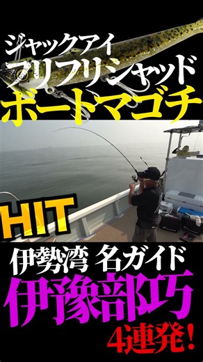 【ボートマゴチ】伊勢湾名ガイド・伊豫部巧が良型マゴチ連続HIT！ #釣り #ボートマゴチ #伊勢湾