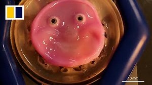 Japan scientists make smiling robot with 'living skin’