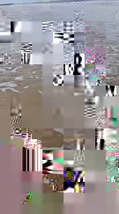 23K views · 537 reactions | Snack Time in Muddys Kitchen #cooking #recipe #oysters #food #shellfish Muddy Feet | Muddy Feet | Facebook