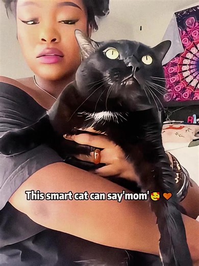 Understanding Cat Communication with Female Owners