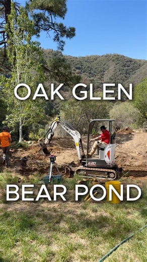 We’ll Pay $200 to Pet the Bear | Oak Glen Bear Pond