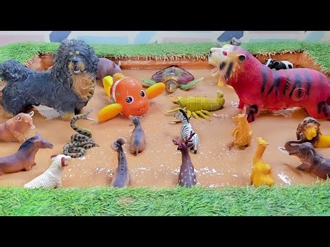 The Mud of the Predator: A Bold Journey to Witness the Jungle and Safari Animals