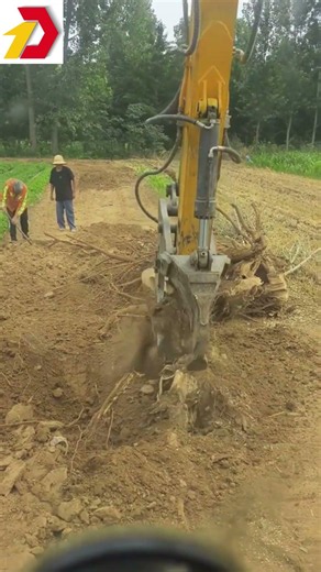 Sức Mạnh Của Gầu Đào Gốc Cây | The Power of Stump Bucket #shorts #MayXuc | #Excavator #shorts