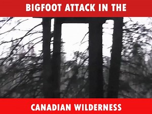 646K views · 3.4K reactions | Bigfoot Attack In The Canadian Wilderness(Part One)(Sonny Vator) | I Believe in Bigfoot | Facebook