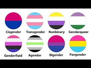 All Genders Explained in 5 Minutes