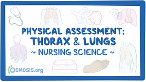 Physical assessment - Thorax and lungs: Nursing: Video & Causes | Osmosis