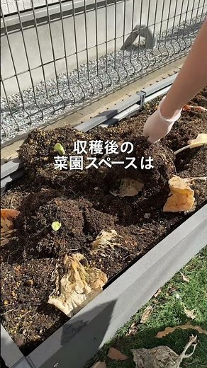 [カインズ公式]やってきました園芸シーズン🍅🥒🍆 #shorts #カインズ #カインズ購入品 #便利アイテム #便利グッズ #暮らしの道具 #暮らしのアイデア #暮らしの知恵
