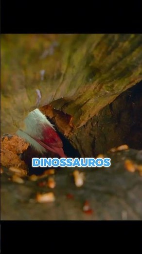 This is the real reason why this DINOSAUR looks like an OWL! #facts #dinosaurs