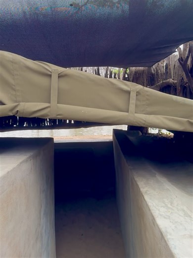 Central African Wilderness Safaris on Reels | Facebook