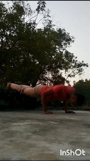 day 9#desihomegym #brahmacharya challenge #max days 💪#satisfying