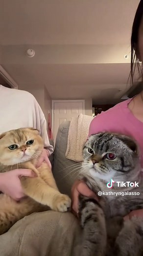 Sibling Rivalry: Fun Questions About Family Dynamics