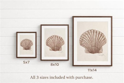 Vintage Scallop Shell Printable Wall Art, Coastal Beach Decor - Etsy UK