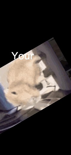 Comment what capy you are below #yourmonthyourcapybara #capysforlife #fyp #dontletthisflop