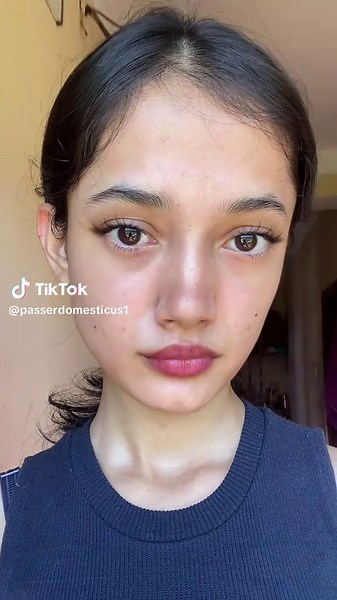 passerdomesticus1 (@passerdomesticus1)’s videos with original sound - Music sansar