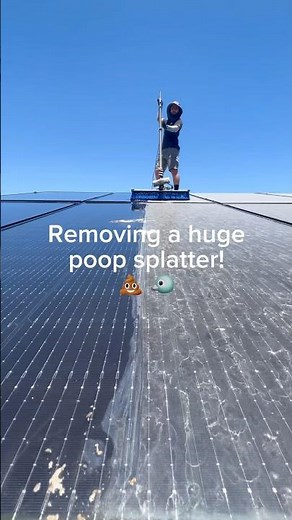 Removing a huge poop splatter from a solar panel !