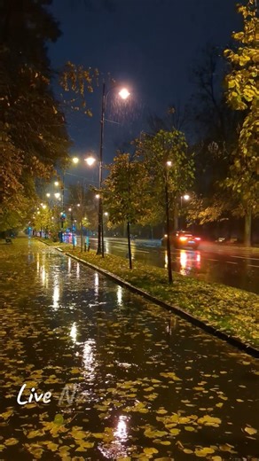 Rain Sounds for Sleeping: The Ultimate Cure for Insomnia #RainSounds #sleepsoundsforkids #ASMR