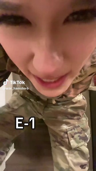 War Hamster on TikTok