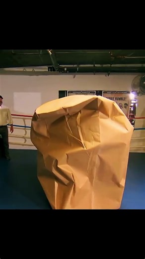 Can You Punch Your Way Out of a Paper Bag? | MythBusters Tested