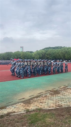 真实的大学生活
