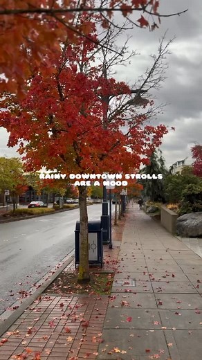 rainy downtown strolls are a mood ✨ it may be getting dark at 4pm, but our downtown is very much alive & bright! The question isn’t if you should come, but if you’re going to bring your umbrella ☔️ #downtownbremerton #westcoastliving #pnwlife #bremertonwa #thebigdark #pnwautumn #cozydays | Downtown Bremerton