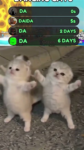 DANCING CATS MEME #shorts #roblox