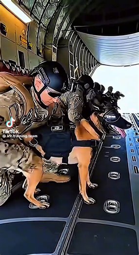 There’s just something magical about these dogs and their handlers❤️They don’t just work together; they’re truly connected on a soul-deep level. The trust, the bond, the unspoken understanding is rare, powerful, and absolutely beautiful to see😍