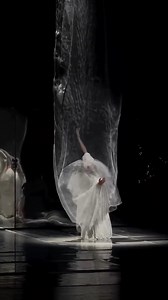 Shui Yue Luo Shen” (水月洛神) is a stunning performance blending history, art and culture into a breathtaking dance-drama. Every movement flows like water, echoing ancient grace and divine beauty. Inspired by the legend of the Goddess of the Luo River of Wei prince Cao Zhi (192-232), the dance-drama narrates the bittersweet love story between Cao and a nymph. Shui Yue Luo Shen, presented by the Zhengzhou Song and Dance Theater (ZSDT), brings Cao’s love story to life on the stage in the form of class