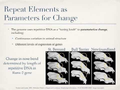 Are Mutations Random?