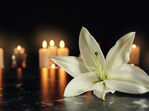 Weekly San Mateo County Obituaries