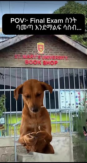 St Mary meme compilation: St Mary 29 viral video highlights