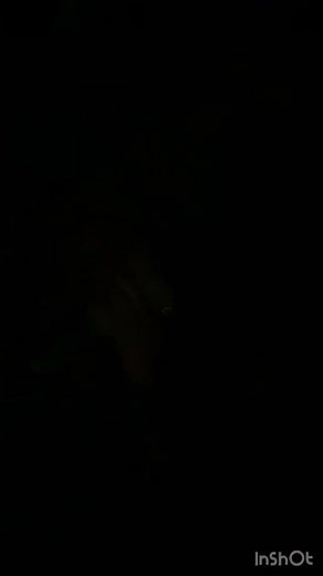 Glock 17 P80 with switch🔥🔥