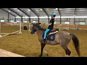 Elle shows her hard work and progress riding and beginning to jump horses