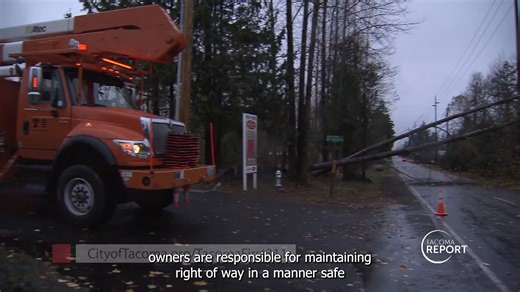 🌧️🍃❄️ Street flooding, snowy roads, and fallen trees can all be unwanted side effects when the weather turns. Check out this Tacoma Report to see what property owners can do to prepare and what services the City will provide before, during, and after inclement weather. | City of Tacoma Government