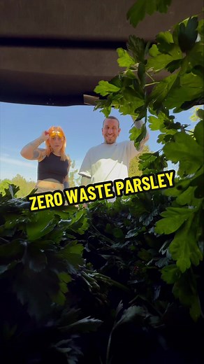 Zero Waste Parsley: How to Store & Use It