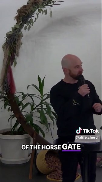 Unlocking the Power of the Horse Gate