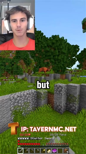 Random Minecraft server #foryou #trending #minecraft | Daquavis MC