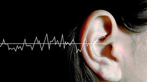 Science In Action - 13/09/2012 - BBC Sounds