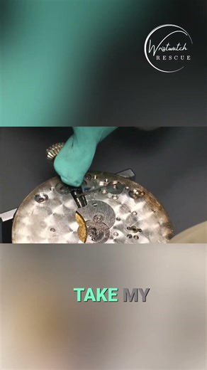 Oiling a Pocket Watch #watch #thewatchpreserve #luxuryaccessories