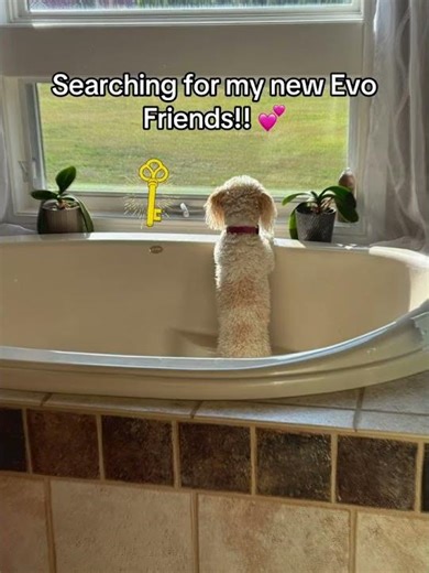 Unlocking EvoPro: My Exciting Journey Begins! 🗝️✨ #EvoPro #EvolutionPro