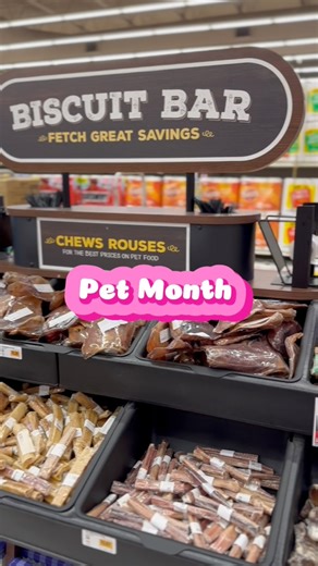 May is Pet Month at Rouses!! It’s the perfect time to learn more about pet wellness for our furry little friends! We visited @arkanimalnola Dr. Zachary Carroll to talk more about pet wellness. Thank you so much for these great tips Dr. Carroll! #petwellness #rousesmarkets #petmonth #mayispetmonth | Rouses Markets