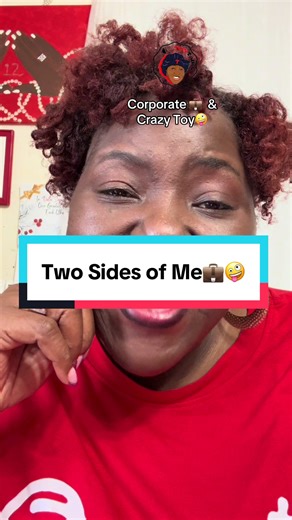 There are two Toys: Corporate Toy and Crazy Toy. One is professional, one is a mess! On this page, you get Crazy Toy—sharing life’s ups and downs with laughter and humor. #twosidesofme #corporateandcrazy #toytalksvlog #toytalks2you #toytalkstoyou