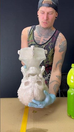 The Slime Blood of a Ballistic Predator