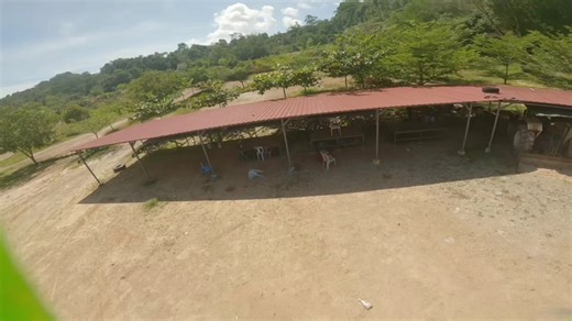 Flying low, feeling high #fpv #nostab #speedybee #fpvfreestyle #fpvpilot