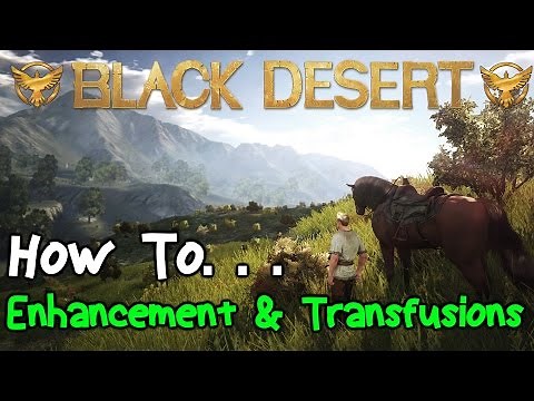 Black Desert Online: Enhancement and Transfusion Guide