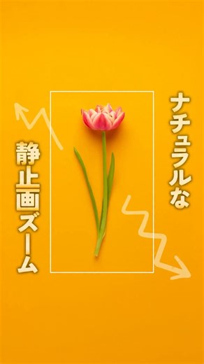 🥷 on Instagram: "静止画のズームをよりナチュラルにする演出方法 緩急つけないふつーのやり方も良いんですが変化をつけたいときのワザとして ご質問・ご要望などありましたらお気軽に🦧 #snsマーケティング #リール動画 #リールの作り方 #動画クリエイター #capcut #動画編集"
